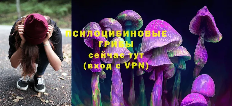 Галлюциногенные грибы Psilocybine cubensis  где купить   Слюдянка 